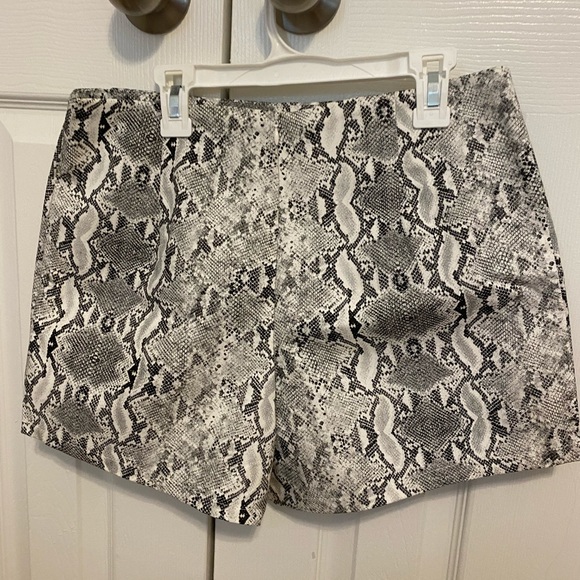 She+Sky Snake print Envelope Skort - Picture 3 of 6